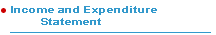 Income and Expenditure Statement